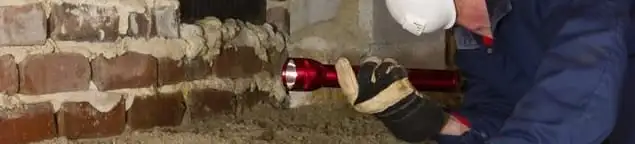 Pest control technician inspecting a crawl space for ant activity and entry points in Los Angeles, CA