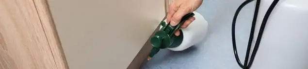 Bed bug exterminator treating baseboards and cracks with targeted spray in Los Angeles, CA