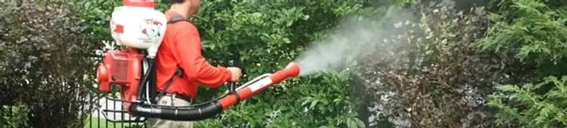 Mosquito control technician fogging shrubs and landscaping for mosquito treatment in Los Angeles, CA