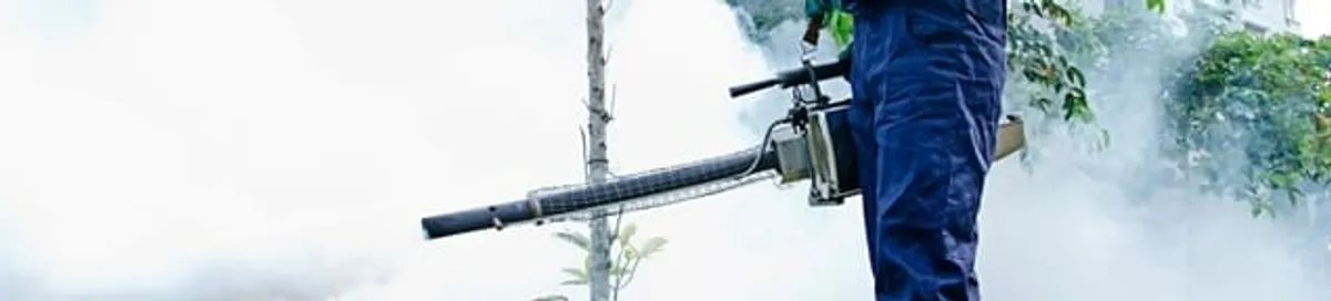 Pest control technician fogging an outdoor area for insect control in Los Angeles, CA