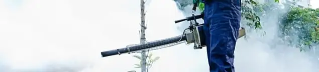 Pest control technician fogging an outdoor area for insect control in Los Angeles, CA