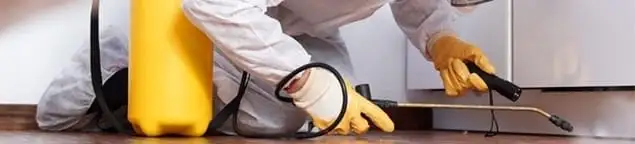 Roach exterminator treating cracks and crevices along kitchen baseboards in Los Angeles, CA