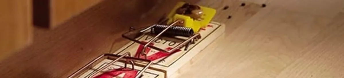 Rodent trap set indoors for rodent control and prevention in Los Angeles, CA