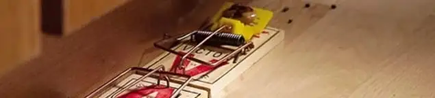 Rodent trap set indoors for rodent control and prevention in Los Angeles, CA