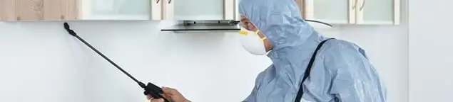 Termite treatment technician applying indoor pest control spray in Los Angeles, CA